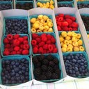 Jill McKee - @jkstennis - Twitter