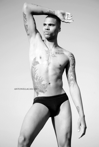 avanguard81's profile picture. 