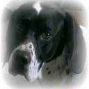 Sonia Rojo Alvarez - @RojoRojo75 - Twitter