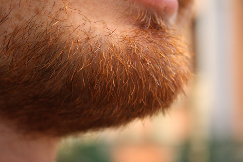 Felipdecalp's profile picture. 