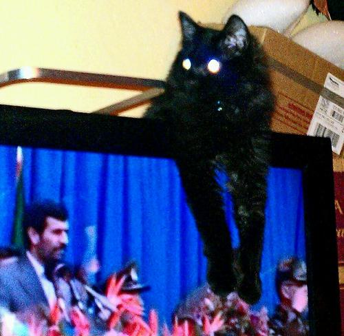 sunshine_green9's profile picture. sunshine_Karen_ green