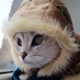 slic (@s1100) Twitter profile photo slic (@s1100) Twitter profile photo