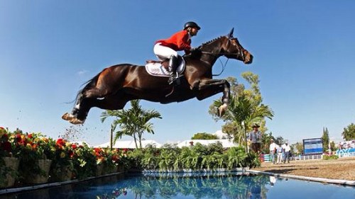 HBR_Problems's profile picture. Only horseback riders would understand...