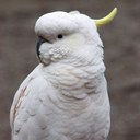 don foo - @donfoo181 - Twitter