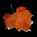 Indonesia ♡ (@stasiunsenja) Twitter profile photo Indonesia ♡ (@stasiunsenja) Twitter profile photo