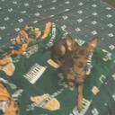 Amy Dunham - @Dunhama2005 - Twitter