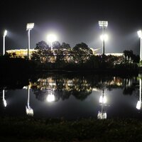 Swamp (@sirswampthing) 's Twitter Profile Photo