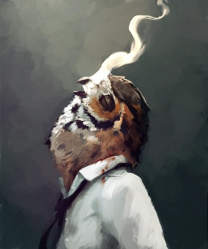 pakinvadim's profile picture. 