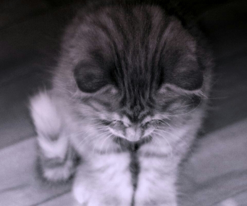 gail1019's profile picture. ALL IS WELL