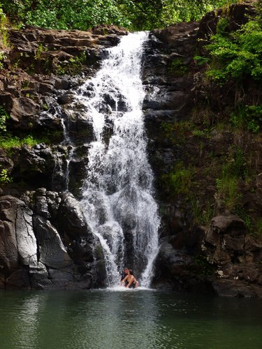 SchulwoodForest's profile picture. 