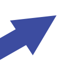 Transform Management