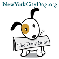 New York City Dog(@NYCDog) 's Twitter Profileg