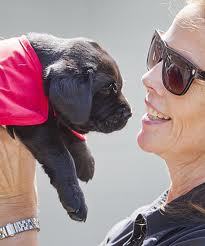 amow121's profile picture. Proud Irish dog person