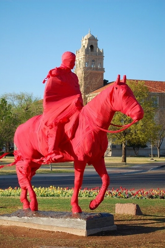 Proud Texas Tech Alumn! 🌵