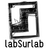 labSurlab's profile image