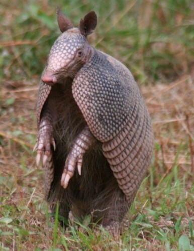 Swaggin hard- FOR 55 MILLION YEARS