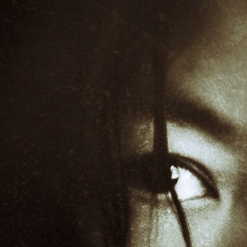 Centaurea9's profile picture. 