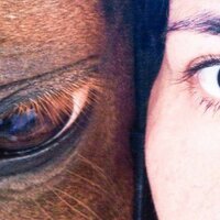 federica antico (@federicantico) 's Twitter Profile Photo