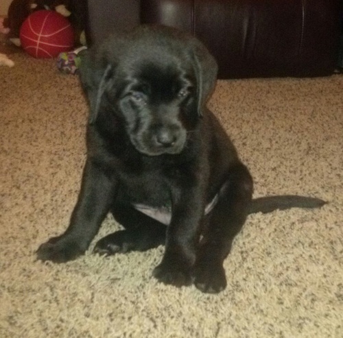 CTscanner82's profile picture. 