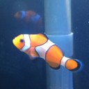 James Crombie - @jwcrombie - Twitter