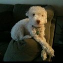 Fred - @fred_huard - Twitter