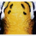 Jason Lofton - @jason_lofton - Twitter