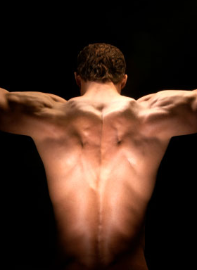 CappellaMassage's profile picture. We specialize in deep tissue, relaxation massage 4 reduction in Cortisol, and stimulation of the parasympathetic system to maintain homeostasis of the body.