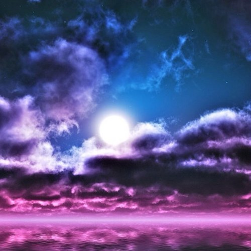 leemonte3's profile picture. 