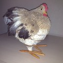 JANET MARIE BARLOW - @Barlowjanet1 - Twitter