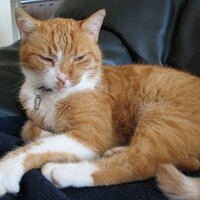 Cora Meijer (@joery07) 's Twitter Profile Photo