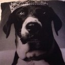 Sian dixon - @SianrSian - Twitter