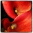 mmchapman20's profile image