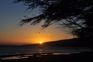 RickyB61's profile picture. 