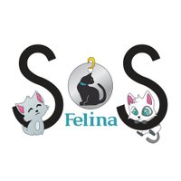 SOS Felina(@SOSFelina) 's Twitter Profileg