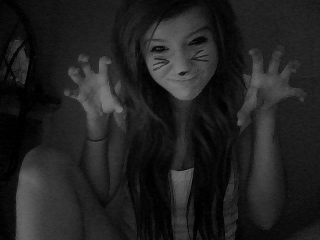 Meow! Meow!