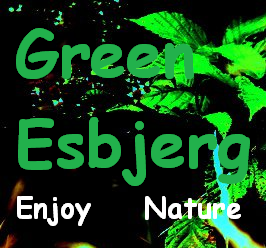 GreenEsbjerg's profile picture. GreenEsbjerg Inspires People to Enjoy Nature and Start a More Selfsufficient, Green and Sustainable Life. Publish Green Books : https://t.co/uW7H0VP1