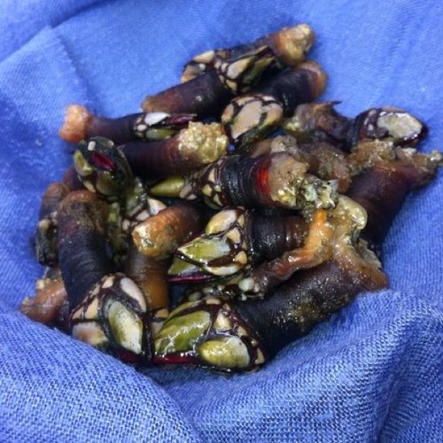 luismun74's profile picture. disfrutando