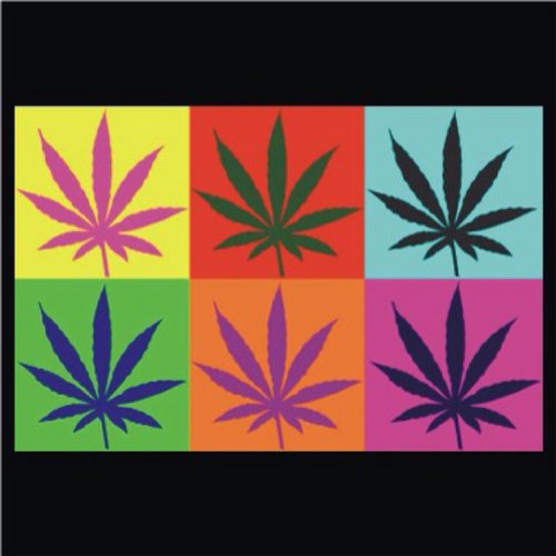 IJustWannaSmoke's profile picture. getting high isnt as easy as it looks..