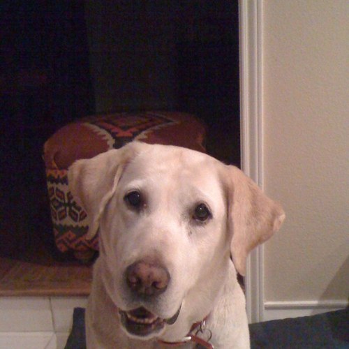 Drulie's profile picture. Love the Spurs, the Cowboys and my three sons!