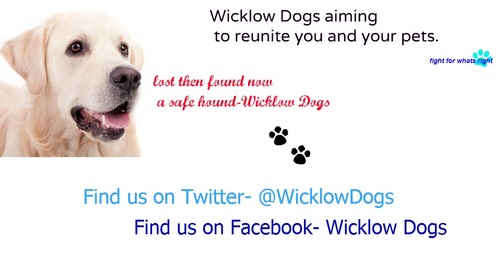 WicklowDogs's profile picture. Wicklow Dogs is a local lost and found pets page.. 
find us on Facebook! .. 
our quote:lost then found,now a safe hound (: