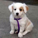 Steve Tingle - @Steve_Tingle - Twitter