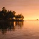 Sharon Jefferies - @SAJefferies - Twitter