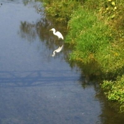 綺麗になりたいっ 吉岡美穂 産後ダイエット の3カ条は Http T Co Iw7gxefy Nikkansportscomさんから 綺麗になりたいっ 吉岡美穂 産後ダイエット の3カ条は Http T Co Iw7gxefy Nikkansportscomさんから