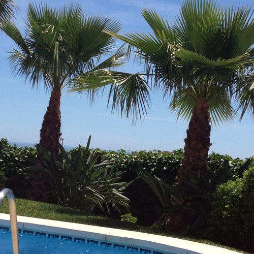 AstridEide's profile picture. Jobber i Statens vegvesen avdeling Rogaland