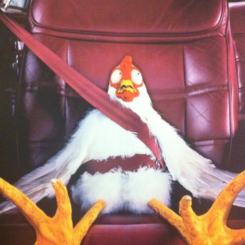 ArenaSable's profile picture. 