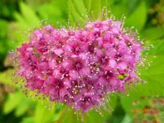 Maria78R's profile picture. Deler sitater fra bøker jeg leser i min søken etter Gud, skjønnhet, det gode og det sanne. Trener skolehund. Lærer.