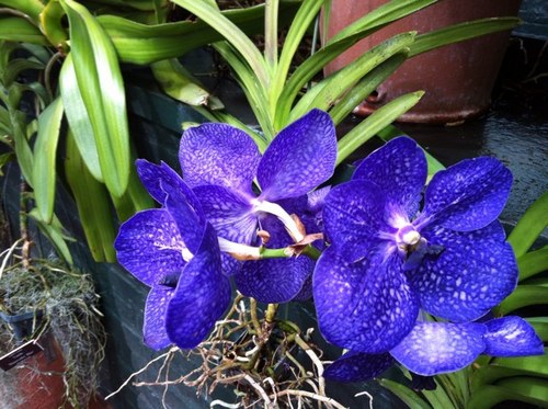 msquinnpolson's profile picture. 