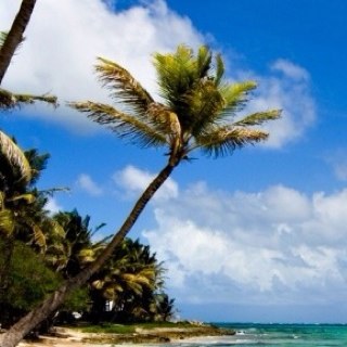 patsy_richards's profile picture. 