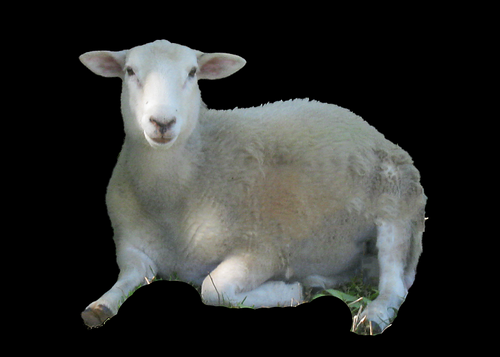 HomesteadingG's profile picture. Homesteading adventurer exploring life off the grid. Inviting you to share my journey and the friends I meet as we help you with your homesteading endeavors.