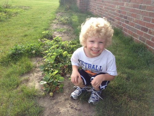 drakelawpc's profile picture. Simmental rock!